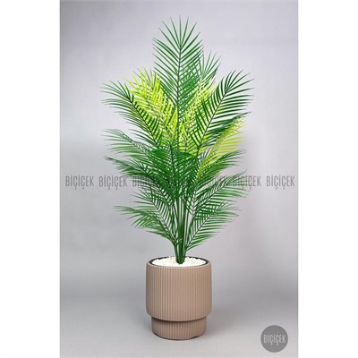 Biçiçek Areka Ağaci 24 Yaprakli 120-130 Cm Kahverengi