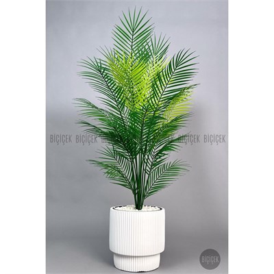 Biçiçek Areka Ağaci 24 Yaprakli 120-130 Cm Beyaz