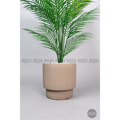 Biçiçek Areka Ağaci 24 Yaprakli 120-130 Cm Kahverengi