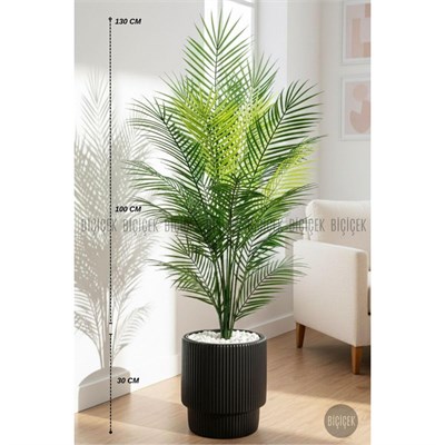 Biçiçek Areka Ağaci 24 Yaprakli 120-130 Cm Siyah