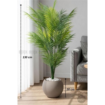 Biçiçek Areka Ağaci 24 Yaprakli 130 Cm Küre Saksida Kahverengi