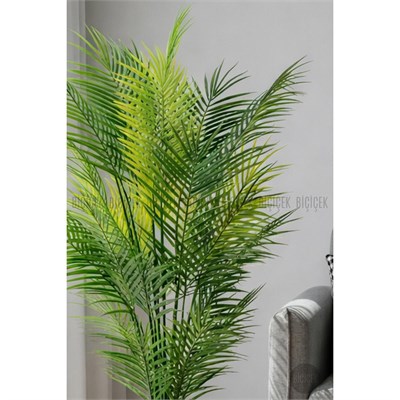 Biçiçek Areka Ağaci 24 Yaprakli 130 Cm Küre Saksida Antrasi̇t