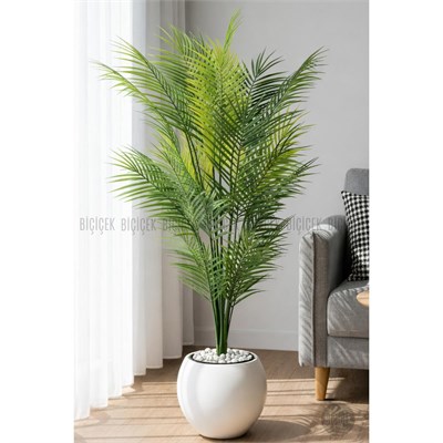 Biçiçek Areka Ağaci 24 Yaprakli 130 Cm Küre Saksida Beyaz