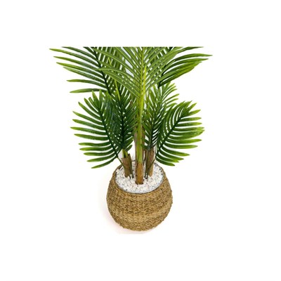 Biçiçek Areka Palmiyesi 130cm Geoit Hasır Saksıda