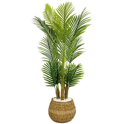 Biçiçek Areka Palmiyesi 130cm Geoit Hasır Saksıda