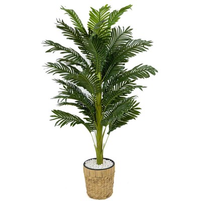 Biçiçek Areka Palmiyesi 140cm Hasır Saksıda Fejka