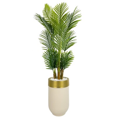 Biçiçek Areka Palmiyesi 160cm Krem Gold Metal Darbuka Saksıda