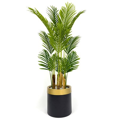 Biçiçek Areka Palmiyesi 160cm Metal Saksıda Black Gold