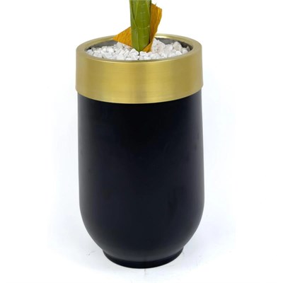 Biçiçek Areka Palmiyesi 170cm Metal Siyah Gold Darbuka Saksıda