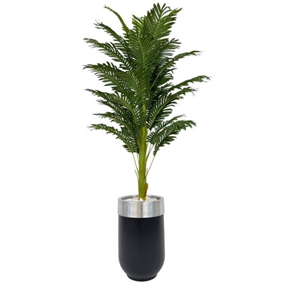 Biçiçek Areka Palmiyesi 170cm Metal Siyah Gümüş Darbuka Saksıda