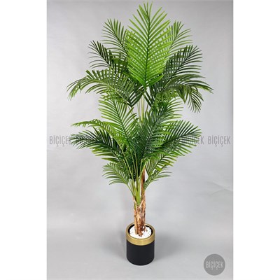 Biçiçek Areka Palmiyesi 220cm Metal Siyah Gold Saksıda