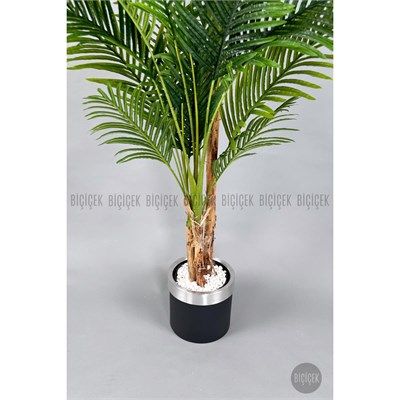 Biçiçek Areka Palmiyesi 220cm Metal Siyah Gümüş Saksıda