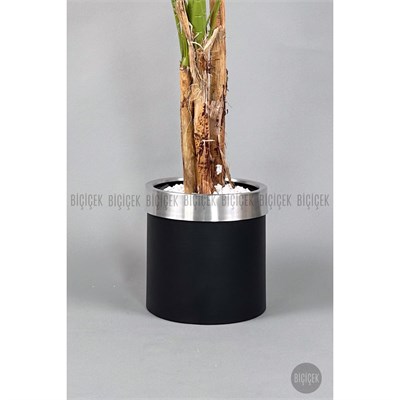 Biçiçek Areka Palmiyesi 220cm Metal Siyah Gümüş Saksıda