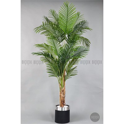 Biçiçek Areka Palmiyesi 220cm Metal Siyah Gümüş Saksıda