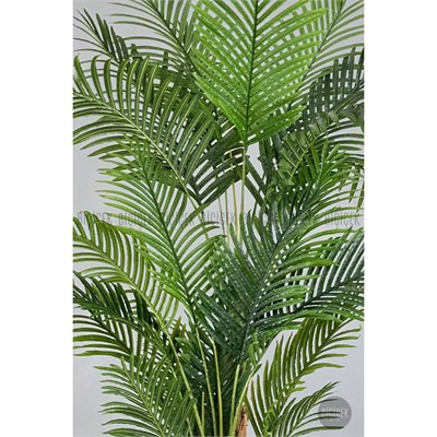 Biçiçek Areka Palmiyesi 220cm Metal Siyah Gümüş Saksıda
