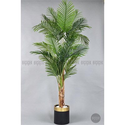 Biçiçek Areka Palmiyesi 220cm Metal Siyah Gold Saksıda