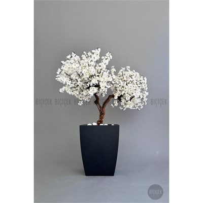 Biçiçek Bonzai Gövdeli Beyaz Sakura Ağacı 100cm Dış Mekana Uygun