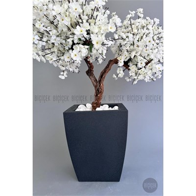 Biçiçek Bonzai Gövdeli Beyaz Sakura Ağacı 100cm Dış Mekana Uygun