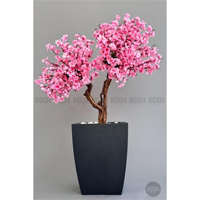 Biçiçek Bonzai Gövdeli Pembe Sakura Ağacı 100cm Dış Mekana Uygun