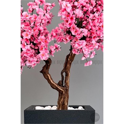 Biçiçek Bonzai Gövdeli Pembe Sakura Ağacı 100cm Dış Mekana Uygun