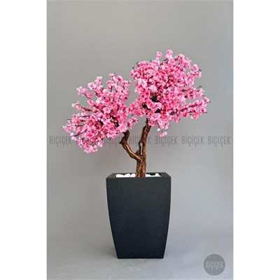 Biçiçek Bonzai Gövdeli Pembe Sakura Ağacı 100cm Dış Mekana Uygun