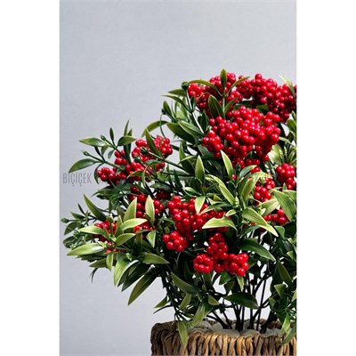 Biçiçek Koki̇na Bi̇tki̇si̇ 40 Cm Hasir Saksida Bol Meyveli̇ Yilbaşi Bi̇tki̇si̇