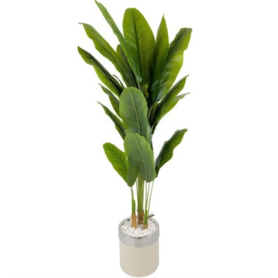 Biçiçek Muz Ağacı 200cm Krem Gümüş Metal Saksıda