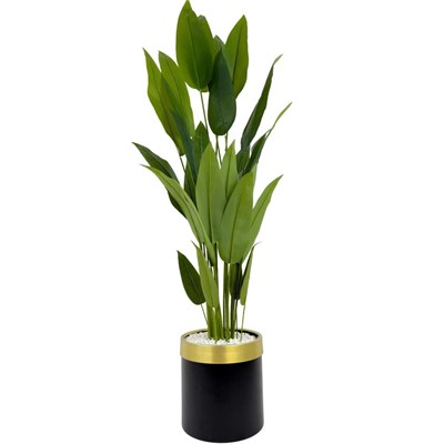 Biçiçek Starliçe 220cm Metal Siyah Gold Saksıda