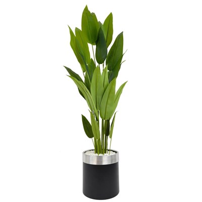 Biçiçek Starliçe 220cm Metal Siyah Gümüş Saksıda