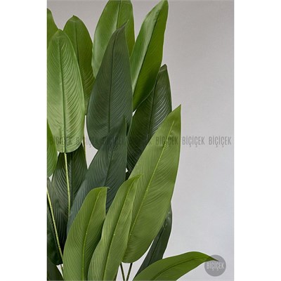 Biçiçek Yapay Ağaç Starliçe 220cm Xxl Boy Siyah Renk Büyük Boy Yakut Saksıda