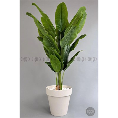 Biçiçek Yapay Ağaç Starliçe Bambu Gövdeli 220cm Büyük Boy Kırıkbeyaz Renk Yalı Saksıda