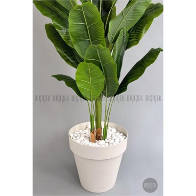 Biçiçek Yapay Ağaç Starliçe Bambu Gövdeli 220cm Büyük Boy Kırıkbeyaz Renk Yalı Saksıda