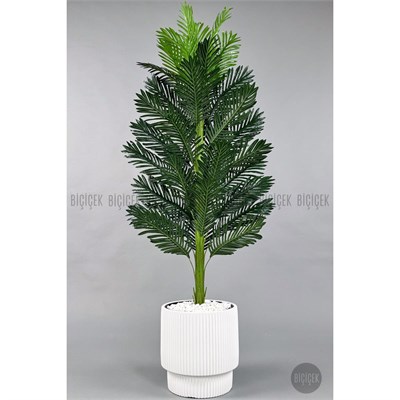 Biçiçek Yapay Areka Ağacı 160-180 Cm Beyazgala180cm