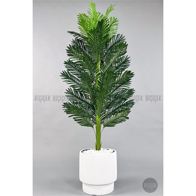 Biçiçek Yapay Areka Ağacı 160-180 Cm Beyazgala180cm