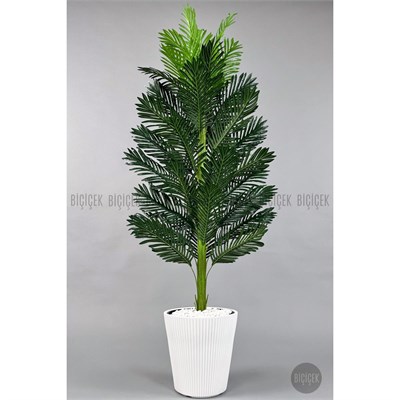 Biçiçek Yapay Areka Ağacı 160-180 Cm Beyazluna180cm