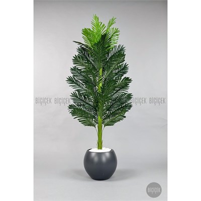 Biçiçek Yapay Areka Ağacı 160-180 Cm Griküre170cm