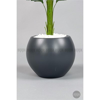 Biçiçek Yapay Areka Ağacı 160-180 Cm Griküre170cm