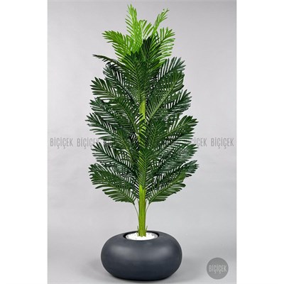 Biçiçek Yapay Areka Ağacı 160-180 Cm Grifi̇ber170cm