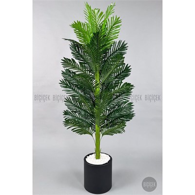 Biçiçek Yapay Areka Ağacı 160-180 Cm Siyahdüz170cm
