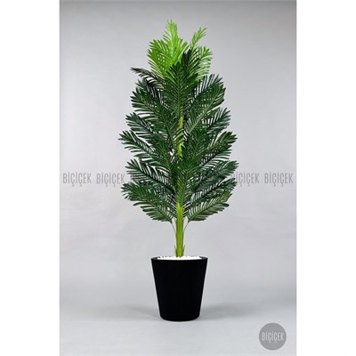 Biçiçek Yapay Areka Ağacı 160-180 Cm Siyahluna180cm
