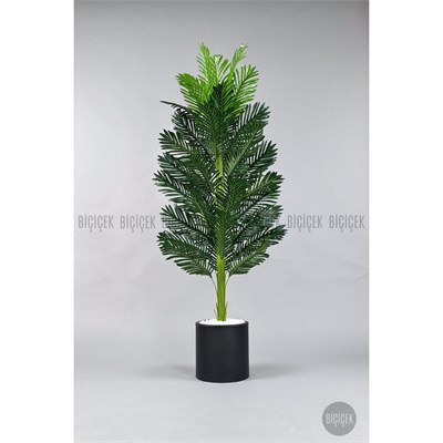 Biçiçek Yapay Areka Ağacı 160-180 Cm Siyahdüz170cm