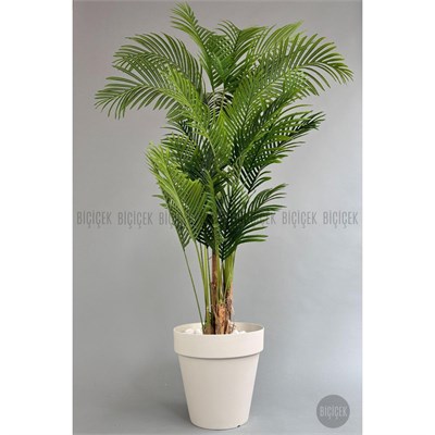Biçiçek Yapay Areka Ağacı Büyük Boy Palmiye Ağacı 4 Bambu Gövdeli 220cm Kırıkbeyaz Renk Yalı Saksıda
