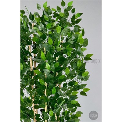 Biçiçek Yapay Bambu Ve Benjamin 6 Dallı Yoğun Yapraklı 220 Cm Siyahbenjami̇n