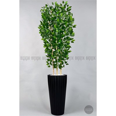 Biçiçek Yapay Bambu Ve Benjamin 6 Dallı Yoğun Yapraklı 220 Cm Siyahbenjami̇n