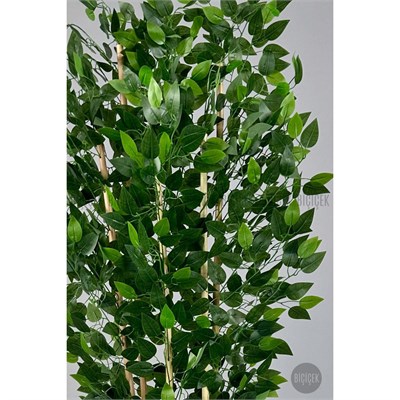 Biçiçek Yapay Bambu Ve Benjamin 6 Dallı Yoğun Yapraklı 220 Cm Beyazbenjami̇n