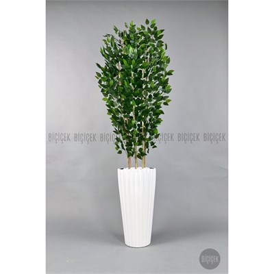 Biçiçek Yapay Bambu Ve Benjamin 6 Dallı Yoğun Yapraklı 220 Cm Beyazbenjami̇n