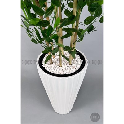 Biçiçek Yapay Bambu Ve Benjamin 6 Dallı Yoğun Yapraklı 220 Cm Beyazbenjami̇n