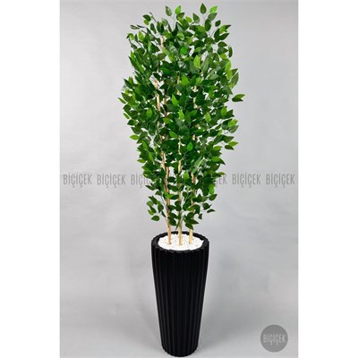 Biçiçek Yapay Bambu Ve Benjamin 6 Dallı Yoğun Yapraklı 220 Cm Siyahbenjami̇n