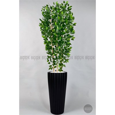 Biçiçek Yapay Bambu Ve Benjamin 6 Dallı Yoğun Yapraklı 220 Cm Siyahbenjami̇n