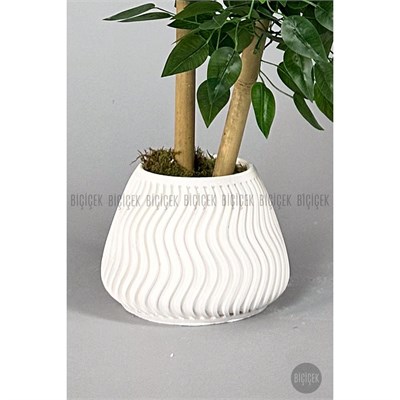 Biçiçek Yapay Benjamin Ağacı Bambu Gövdeli 125cm